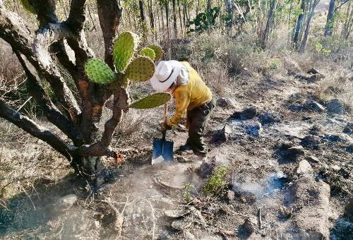 Controlan incendio registrado en el parque estatal Sierra de Guadalupe